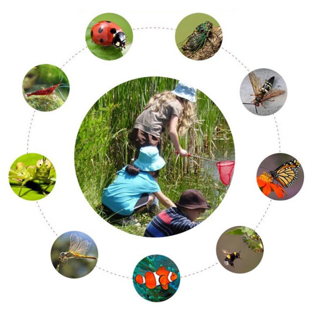 Telescopic Kids Fishing Net Fo - Outdoor Adventure For Kids のレビューと価格