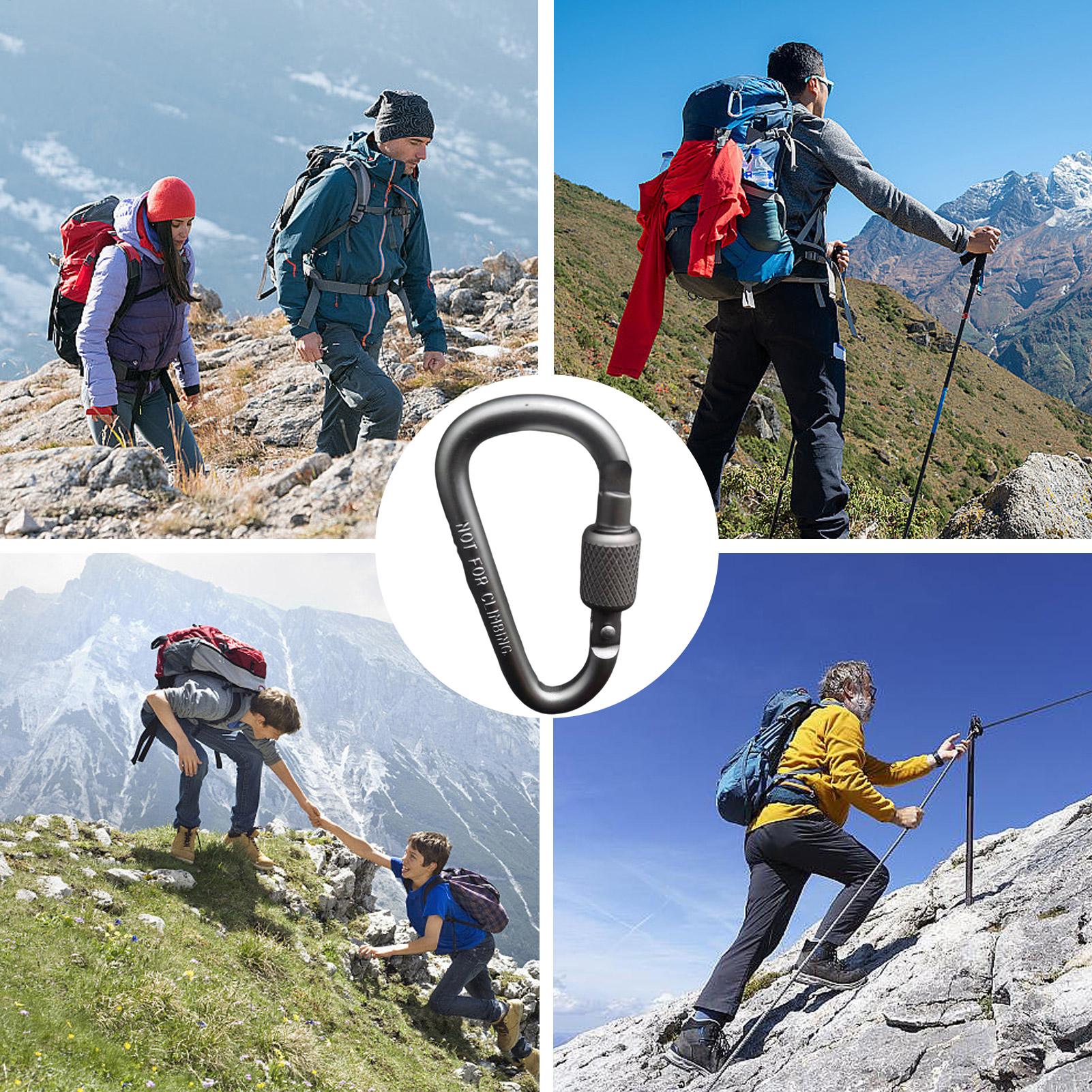 Outdoor Aluminum D Shape Locki - Carabiner Locking D のレビューと価格