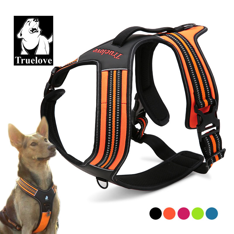 Truelove Sport Nylon Reflectiv - Outdoor Adventure Xl のレビューと価格